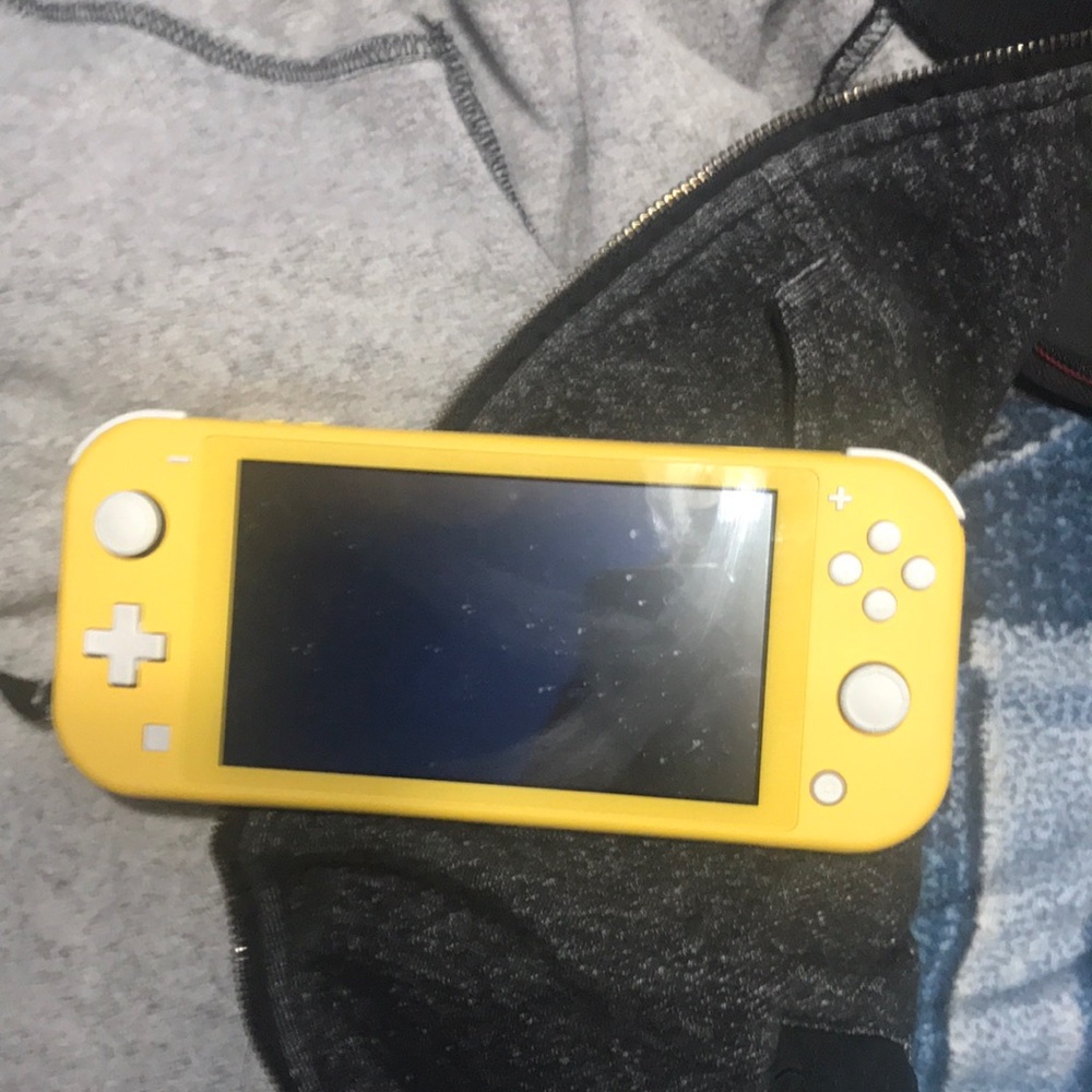 nintendo switch lite no case